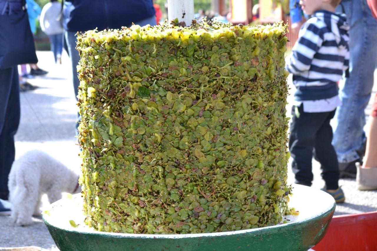 Penzion Sedlecka Vina Sedlec  Dış mekan fotoğraf